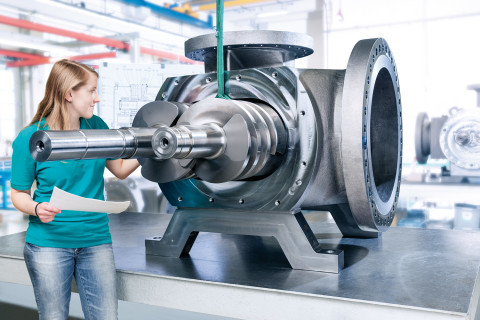 Leistritz Pumps